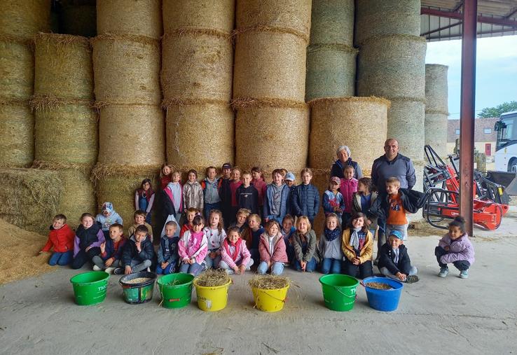 Quarante élèves de l'école de Gacé se sont rendus sur la ferme de Christophe Cougé au Merlerault.