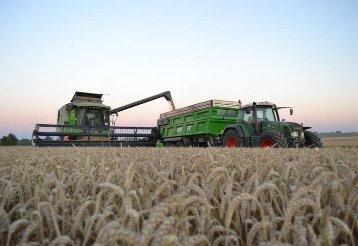 "Où va notre blé ? Au premier, au second, comme au troisième degré", interroge Jean-Yves Heurtin, président
de la Chambre d'agriculture du Calvados lors de la dernière session, vendredi 14 novembre.