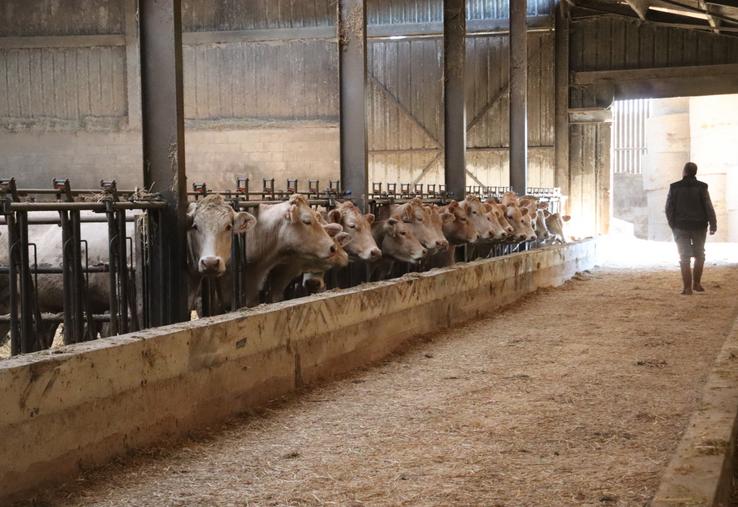 "Nous demandons aux autorités compétentes de renoncer à tout projet de prise en charge de cadavres infectés par la DNC sur le site de Saint-Langis-lès-Mortagne".