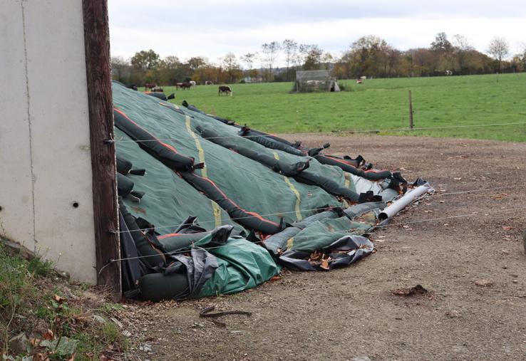 Lors de la conservation des fourrages, Erik Sulmont, responsable grands comptes ruminant chez Lallemand, estime à "5 % les pertes incompressibles".