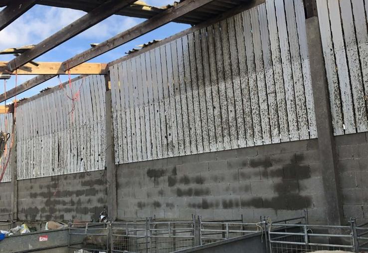 En pleine période d'agnelage, les producteurs sont inquiets. Au Gaec Duquesne, des agneaux ont perdu la vie.