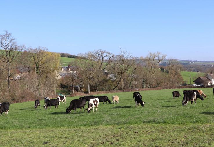 "Pour un éleveur, refaire les contrôles aujourd'hui, c'est synonyme de peur et de tremblements", note Jean-François Bar, éleveur laitier bio en Suisse Normande (illustration).