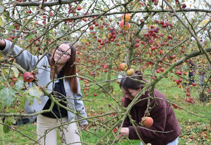 Depuis sa création, Solaal Normandie a enregistré 99 donateurs, dont vingt nouveaux rien qu'en 2025. C'est l'équivalent de 290 000 repas distribués par les associations d'aide alimentaire et 208 dons organisés par Solaal.