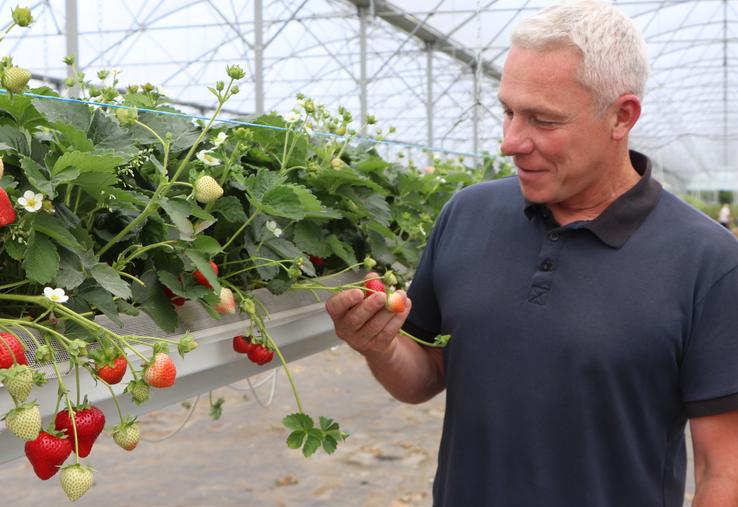 L'exploitation d'Olivier Chauvin - installé depuis 26 ans - totalise 170 ha, dont 20 ha pour les fruits et légumes, le reste en grandes cultures.