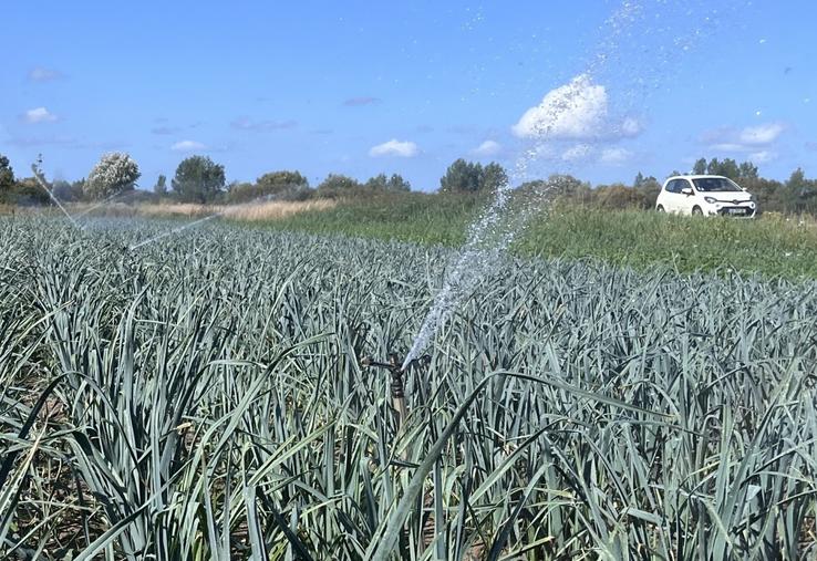 L'irrigation dest désormais interdites sur tout le département de la Manche entre 11h et 18h, même pour les cultures qui bénéficient d'une dérogation d'arrosage.
