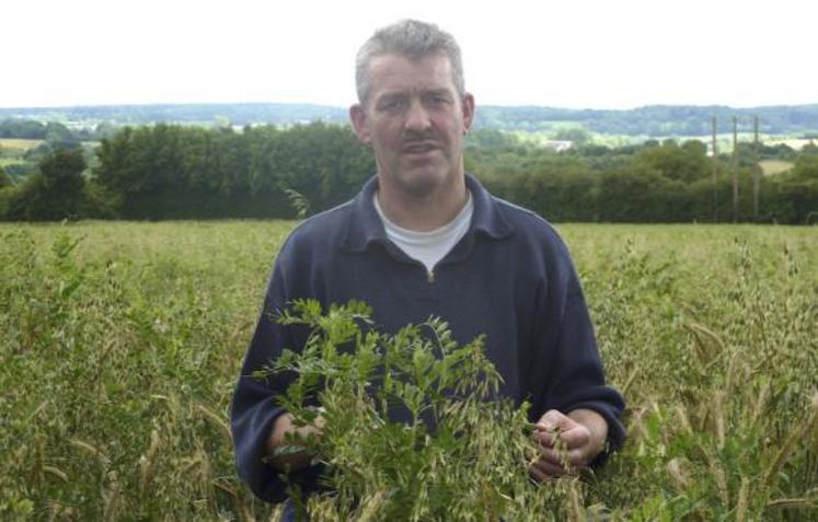 Hugues Bonhomme s'apprête à récolter son mélange céréales-protéagineux sous forme ensilée.