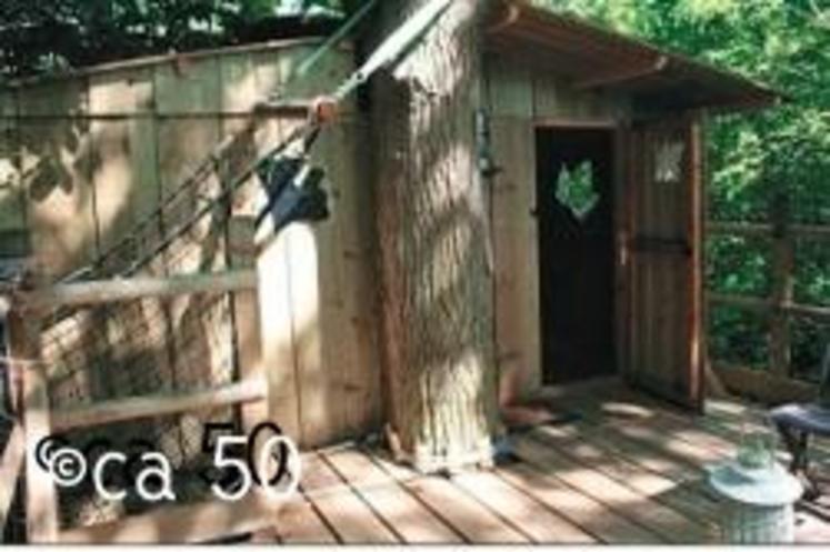 Cabane