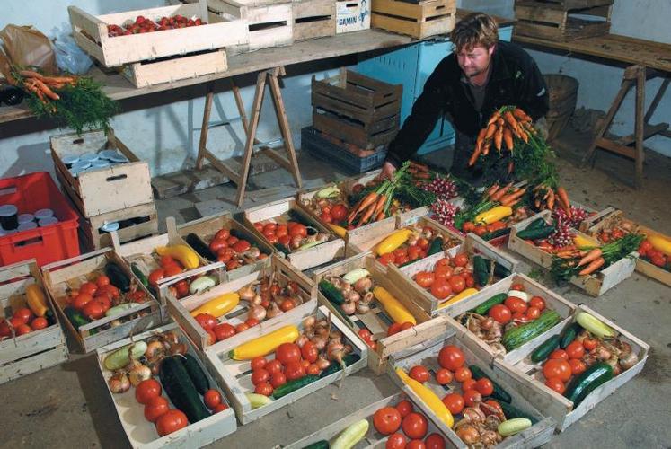L’accès et la réussite sur ces circuits de commercialisation exige néanmoins beaucoup de professionnalisme de la part des producteurs et la maîtrise de différents métiers : production, transformation, vente.