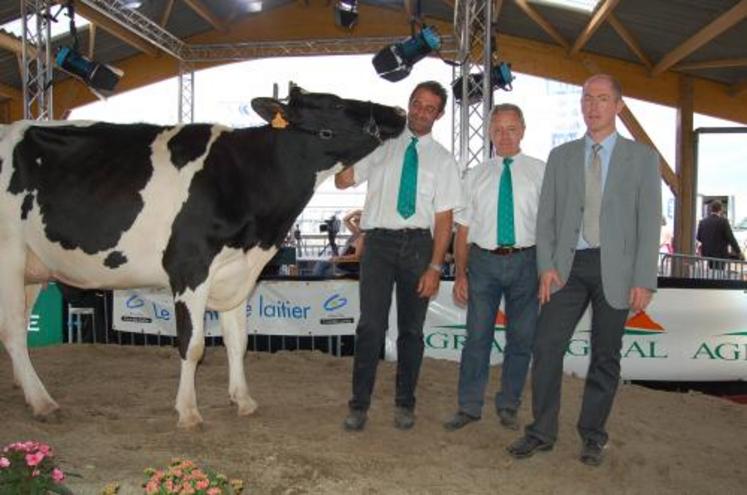 "Ulilas", gaec de Grosmont, championne Prim'Holstein Lessay 2006. Elle part dans la foulée au Space.