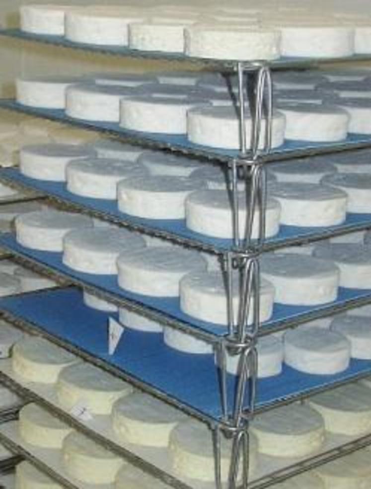 S’assurer de la qualité sanitaire des produits, c’est essentiel.