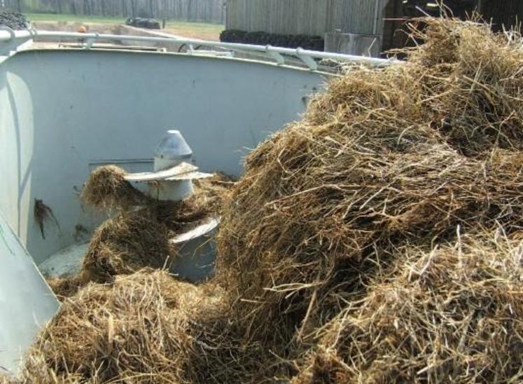 Balle entière + ration complexe + mélange permanent : attention aux temps de travaux, au prix de revient de la distribution et à la fibrosité de la ration !