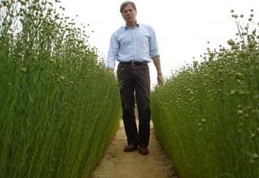 Le champ d'essai : un outil pédagogique pour les Établissements Vandecaendelaere. Après une récolte 2005 exceptionnelle, 
2006 sera l'année du retour à la normale.