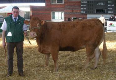 Olivier Auvray du Gaec de l'Allière a remporté de nombreux prix 
dont le Prix d'honneur femelle et le Meilleur animal du concours.