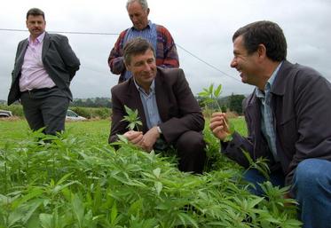 Autour du chanvre, agriculteurs et industriels se réunissent pour le développement économique local.