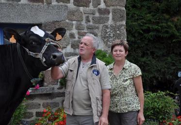 De retour du SPACE où elle s’est classée 5ème de sa section, Cendrillon (Jefferson X Nog Multi) tentera à nouveau de faire parler d’elle à Alençon. Née le 15 octobre 2007, elle a le potentiel d’une très grande.  