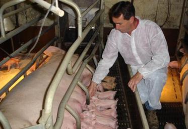 La Basse-Normandie représente 5 % de la production nationale. 
L'Orne 1 %.