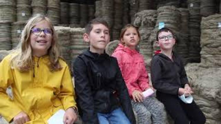 Preview image for the video "L'école à la ferme de Bertrand Loobuick dans l'Eure".