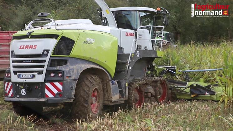Preview image for the video "Ensileuse Claas Jaguar 990 TT en conditions extrêmes".
