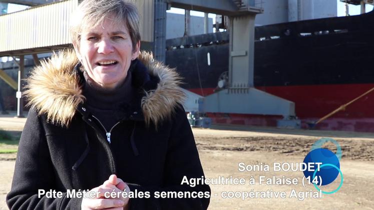 Preview image for the video "AGRIAL - 25000 tonnes de blé normand vers le Maroc".