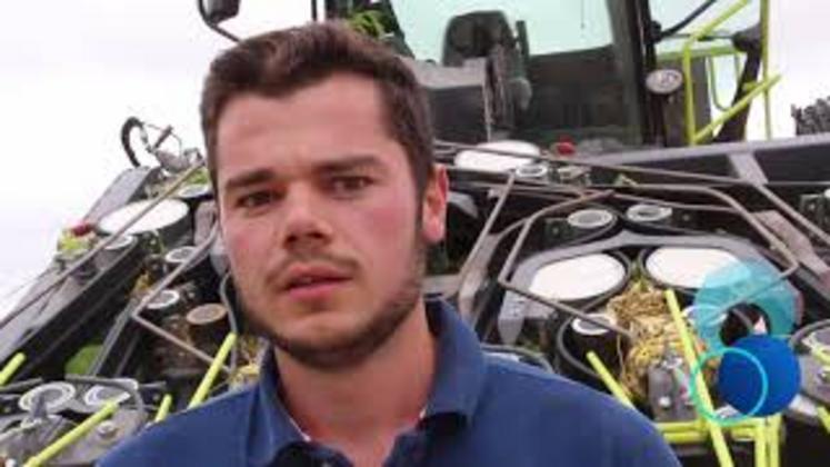 Preview image for the video "Hyler Sativa 200 la faucheuse pour le chanvre textile".