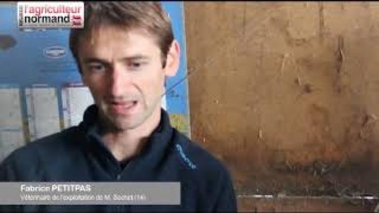 Preview image for the video "En homéopathie, « c’est la vache qui a raison »".