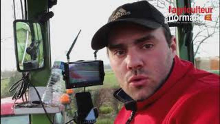 Preview image for the video "Les endives Decaen".