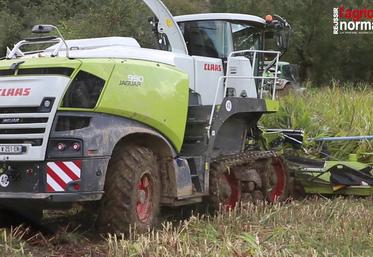 Preview image for the video "Ensileuse Claas Jaguar 990 TT en conditions extrêmes".