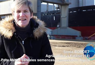 Preview image for the video "AGRIAL - 25000 tonnes de blé normand vers le Maroc".
